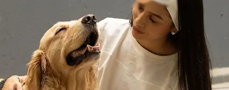 Dental care for dogs