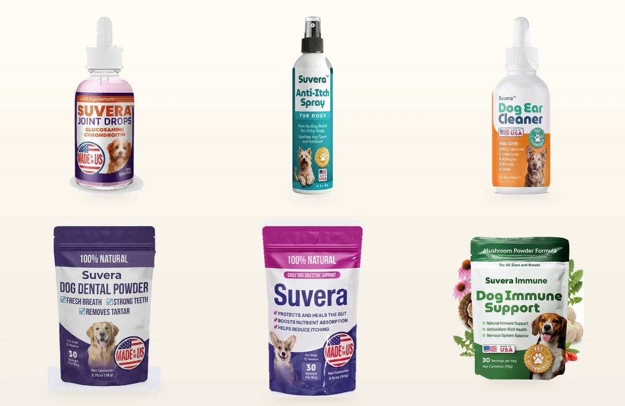The full Suvera dog range