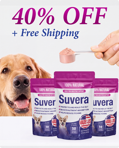Suvera - Dog gut health