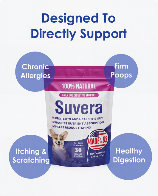 Suvera - Dog gut health