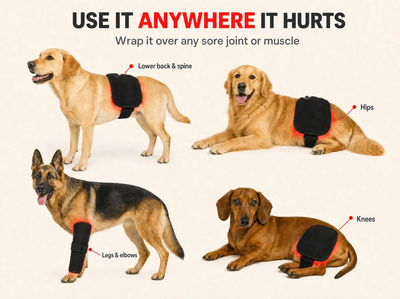 Suvera Red Light Pad