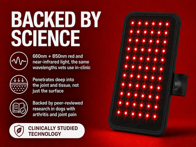 Suvera Red Light Pad
