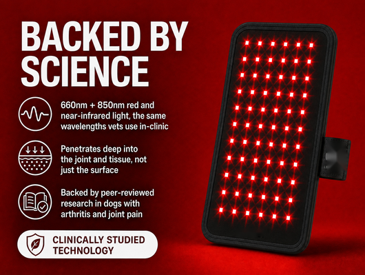 Suvera Red Light Pad