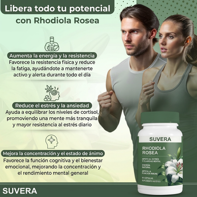 Rhodiola Rosea Extract