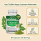 Pure Moringa Powder - Capsules 1200mg