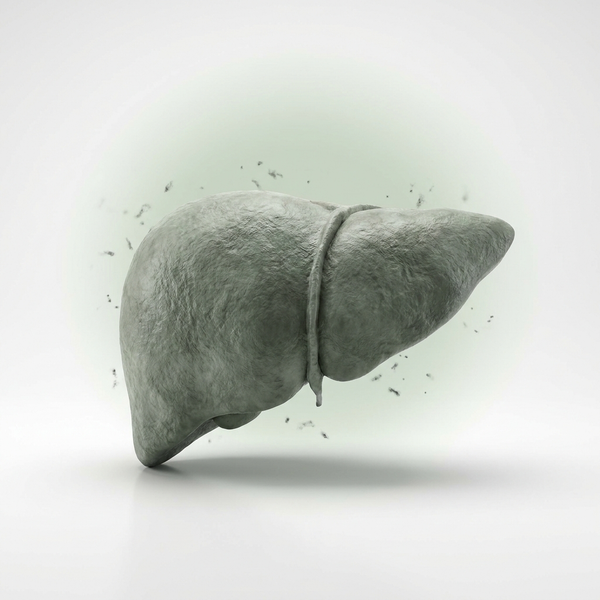 Why Liver Health Matters