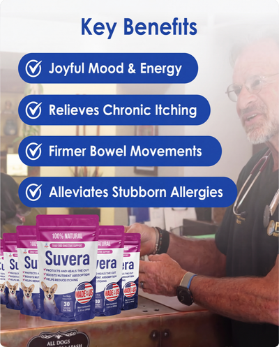 Suvera - Dog gut health