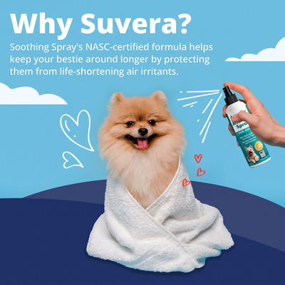 Suvera - Anti-Itch spray for dogs