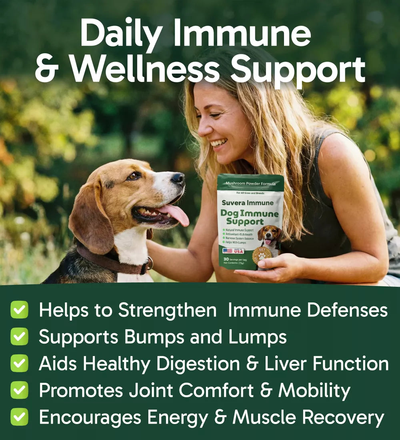 Suvera - Dog Immune Support
