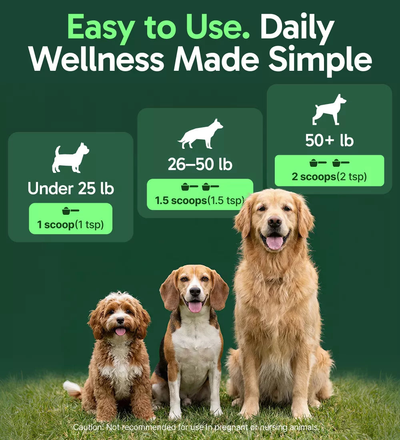 Suvera - Dog Immune Support