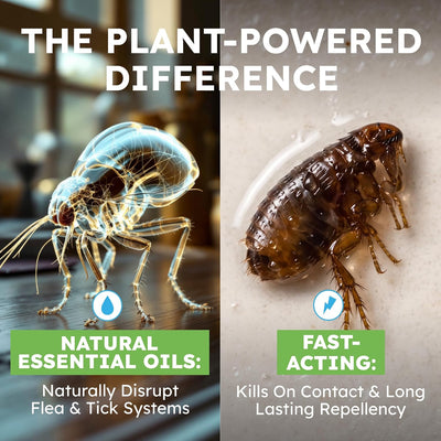 Suvera - Flea + Tick Spray