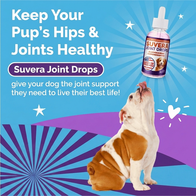 Suvera - Joint drops for dogs