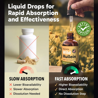 Mullein Drops For Smokers
