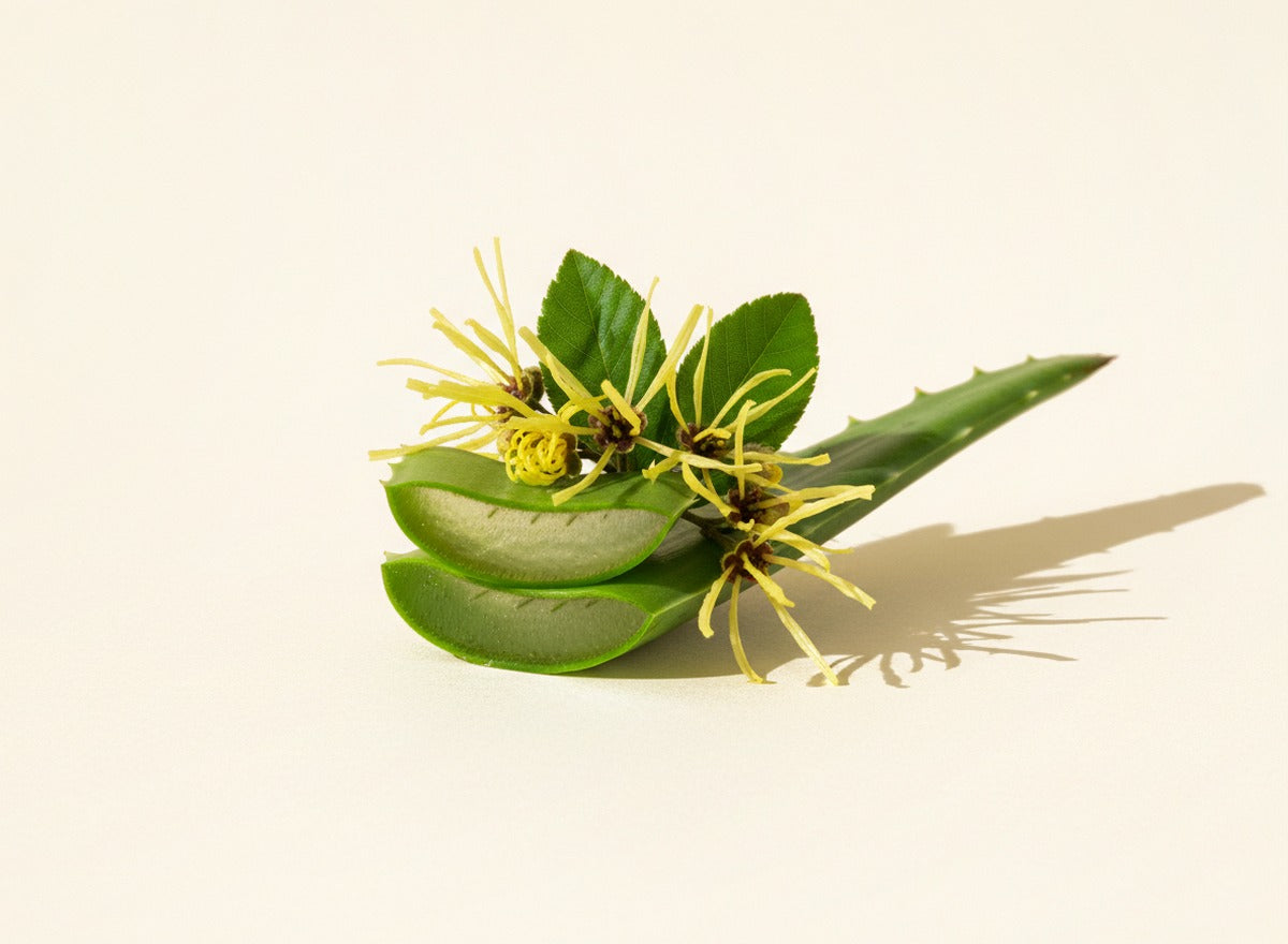 Aloe & Witch Hazel